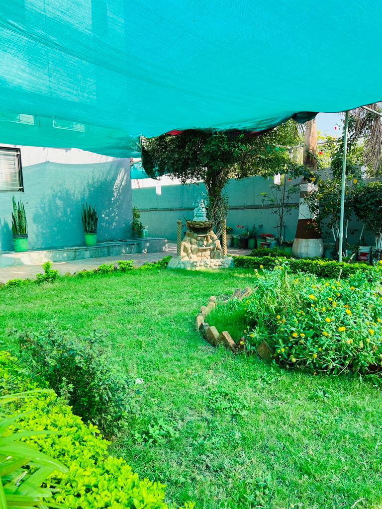 Photo of green hostel garden under shade net